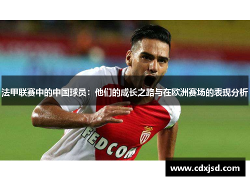 法甲联赛中的中国球员：他们的成长之路与在欧洲赛场的表现分析