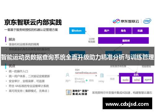 智能运动员数据查询系统全面升级助力精准分析与训练管理