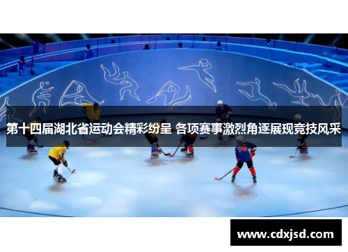 第十四届湖北省运动会精彩纷呈 各项赛事激烈角逐展现竞技风采