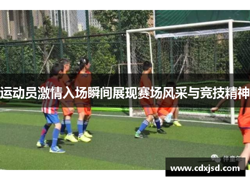 运动员激情入场瞬间展现赛场风采与竞技精神