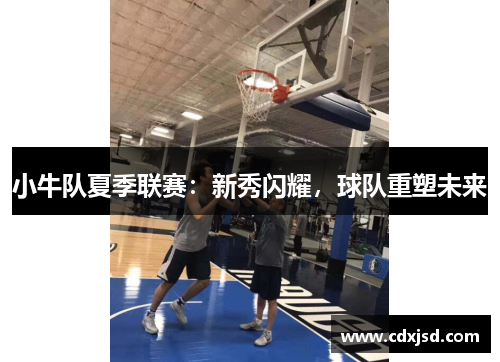 小牛队夏季联赛：新秀闪耀，球队重塑未来