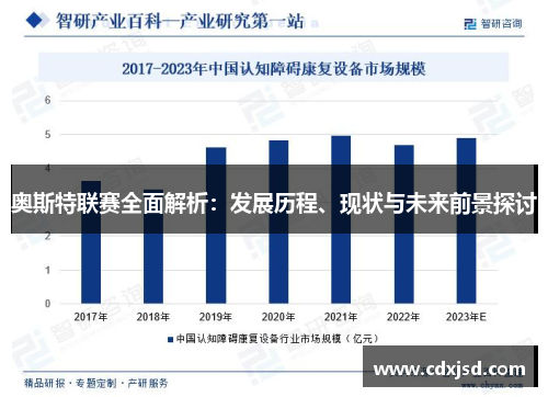 奥斯特联赛全面解析：发展历程、现状与未来前景探讨